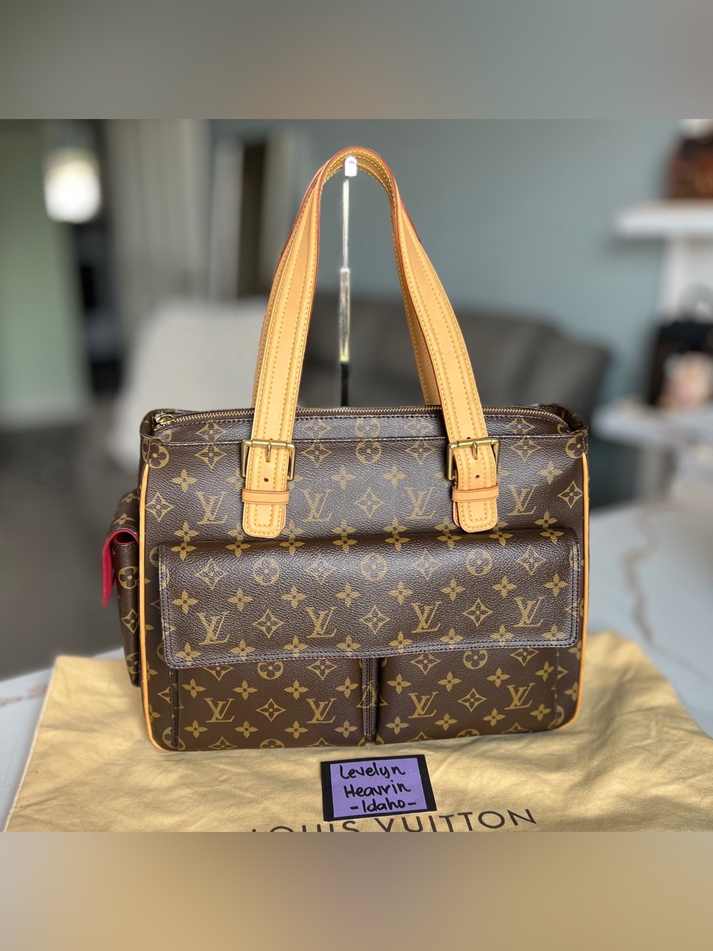 Authentic Louis Vuitton Multipli Cite Monogram